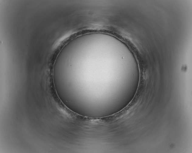 X0000097621304200803141953