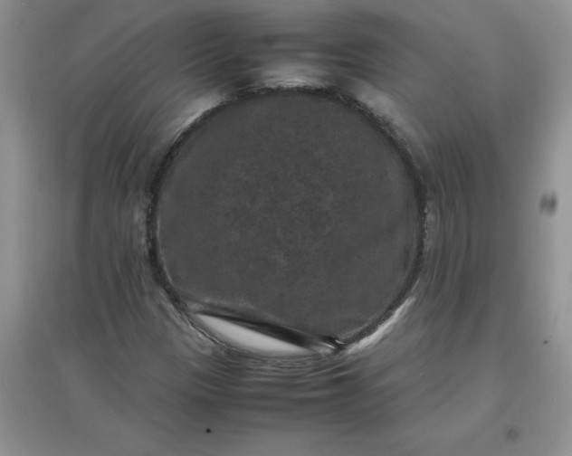 X0000097621305200803141953