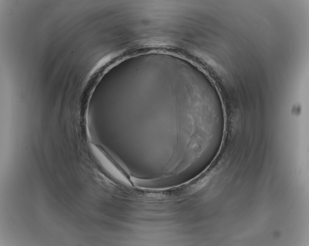 X0000097621306200803141953