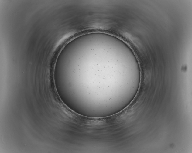 X0000097621307200803141953
