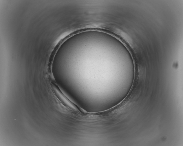 X0000097621308200803141953