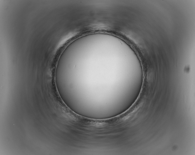 X0000097621309200803141953