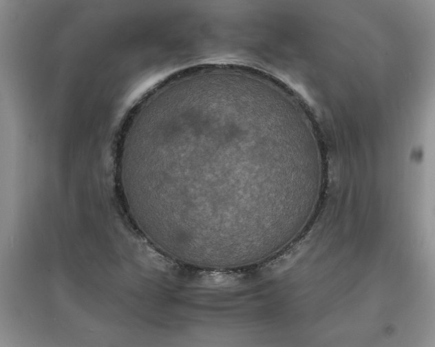 X0000097621311200803141953