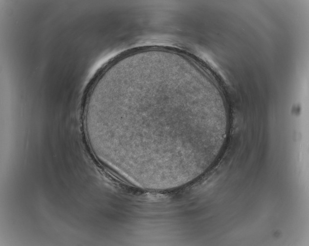 X0000097621312200803141953