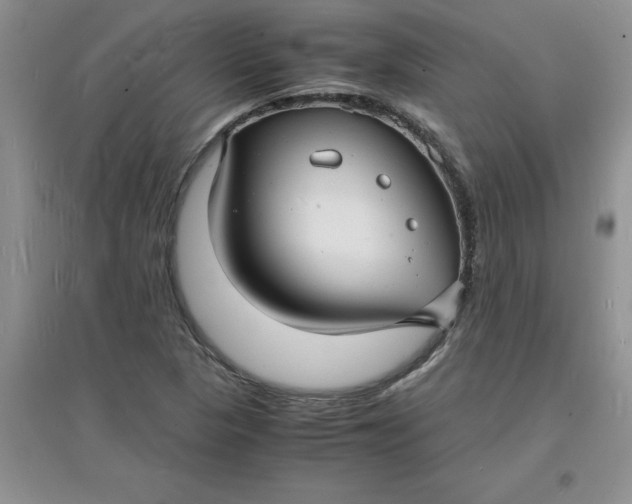 X0000097621313200803141953