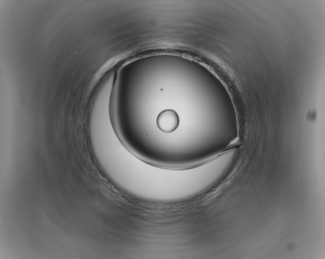 X0000097621314200803141953