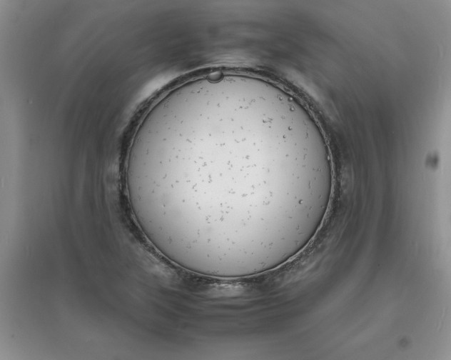 X0000097621315200803141953