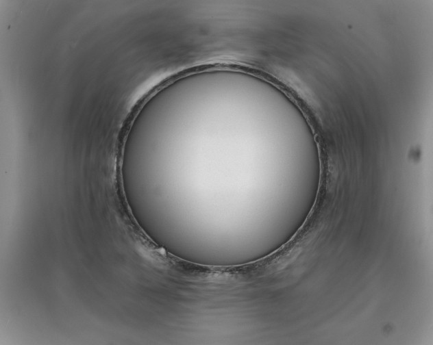 X0000097621316200803141953