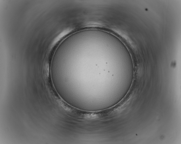 X0000097621317200803141953