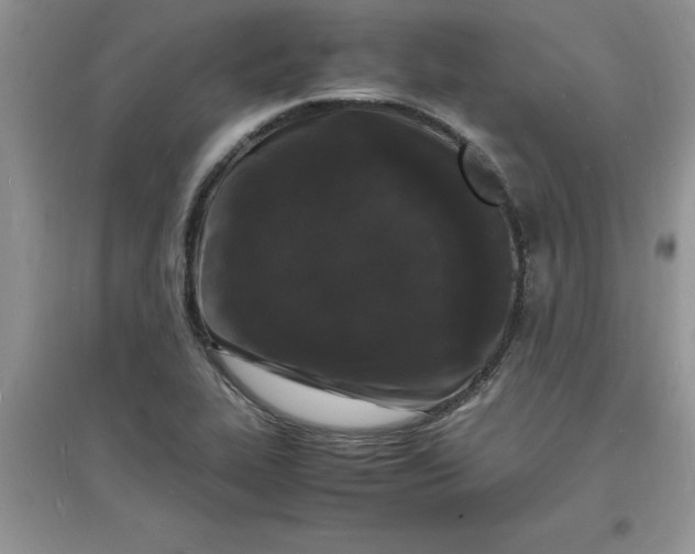 X0000097621319200803141953