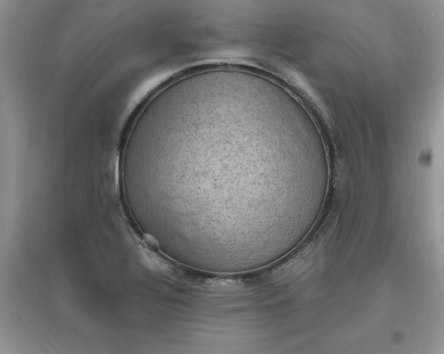 X0000097621320200803141953