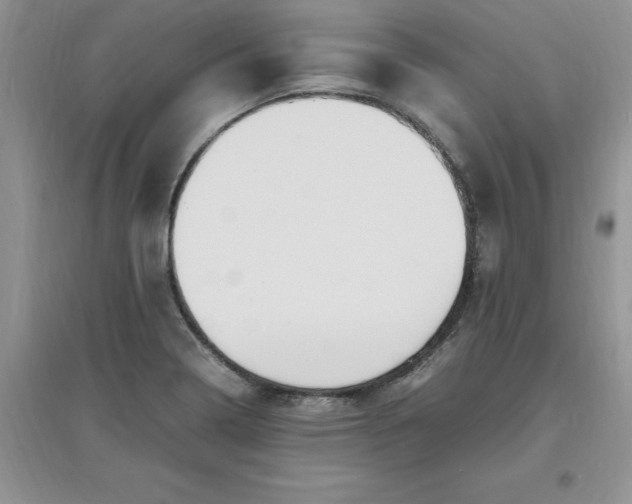 X0000097621322200803141953