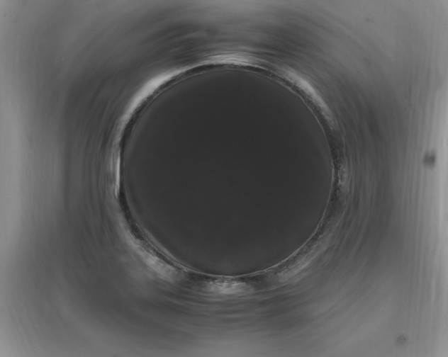 X0000097621323200803141953