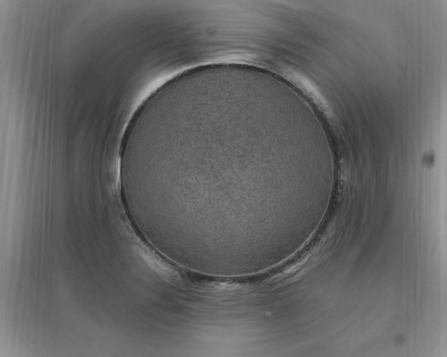 X0000097621324200803141953