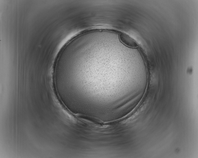 X0000097621325200803141953
