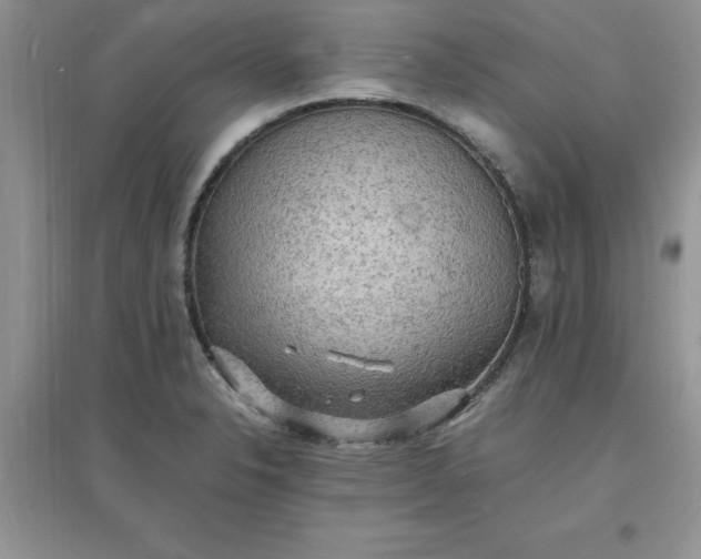 X0000097621326200803141953