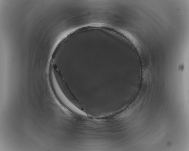 X0000097621327200803141953