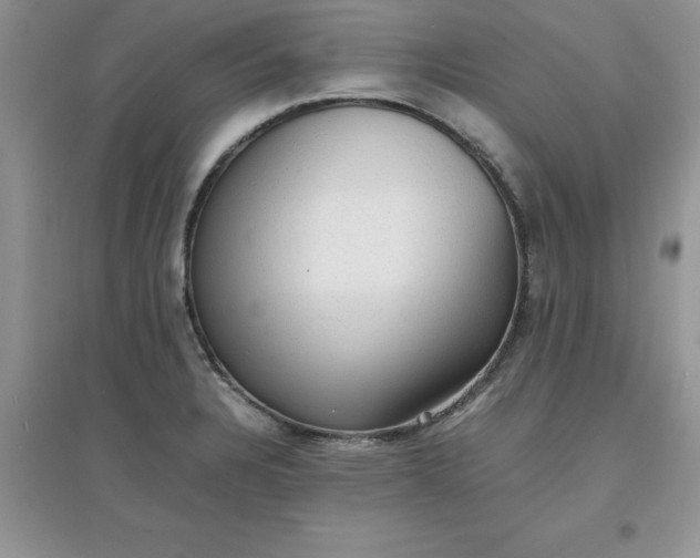X0000097621328200803141953