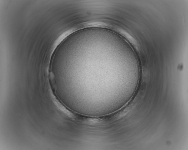 X0000097621330200803141953