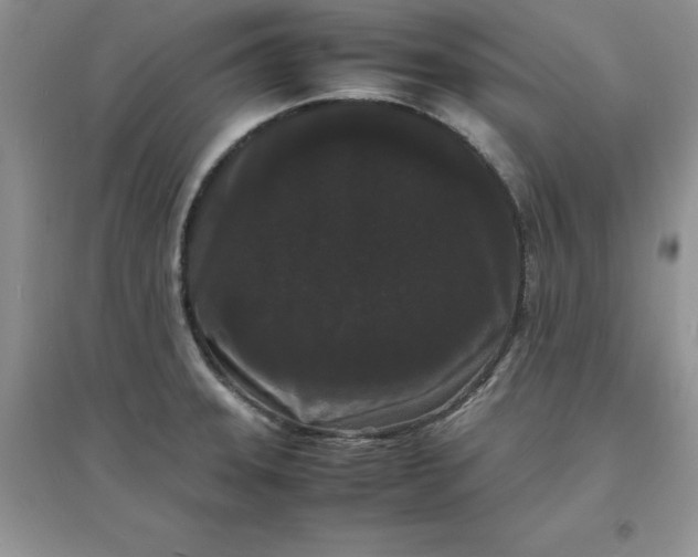 X0000097621331200803141953