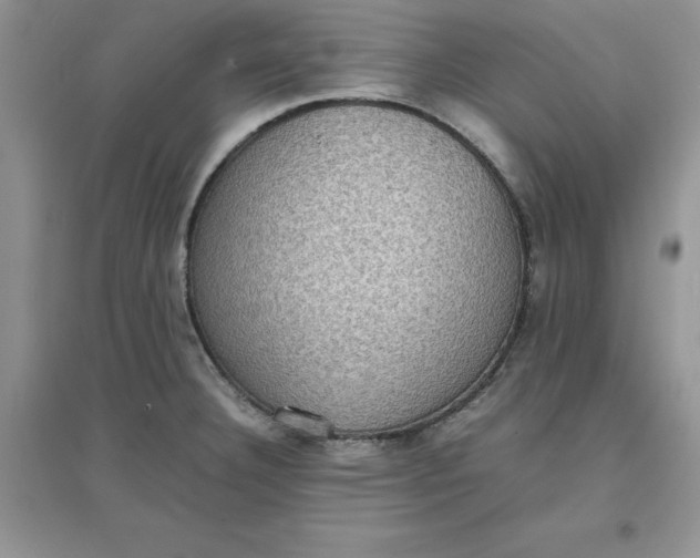 X0000097621332200803141953