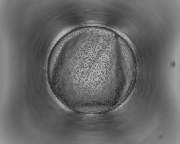 X0000097621333200803141953