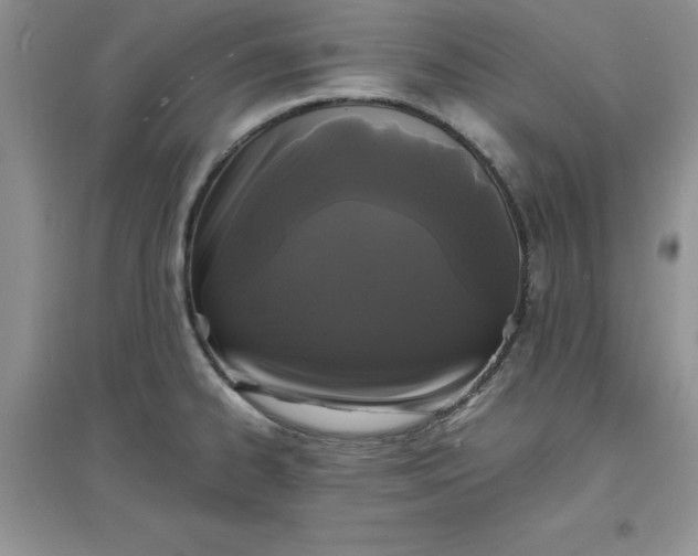 X0000097621334200803141953