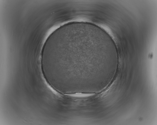 X0000097621335200803141953