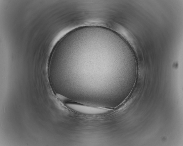 X0000097621336200803141953