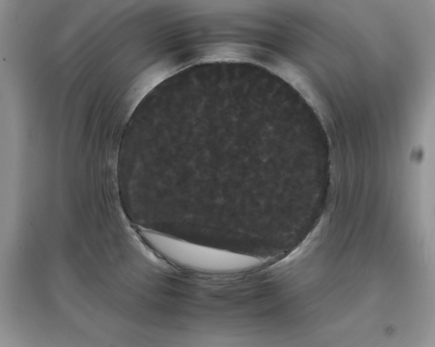 X0000097621337200803141953