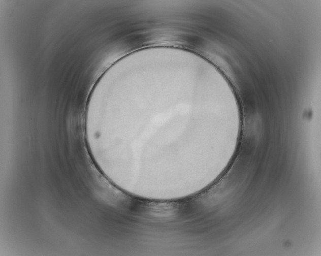 X0000097621338200803141954
