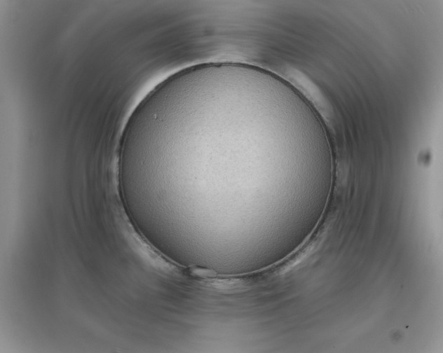 X0000097621340200803141954