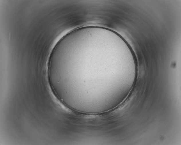 X0000097621341200803141954