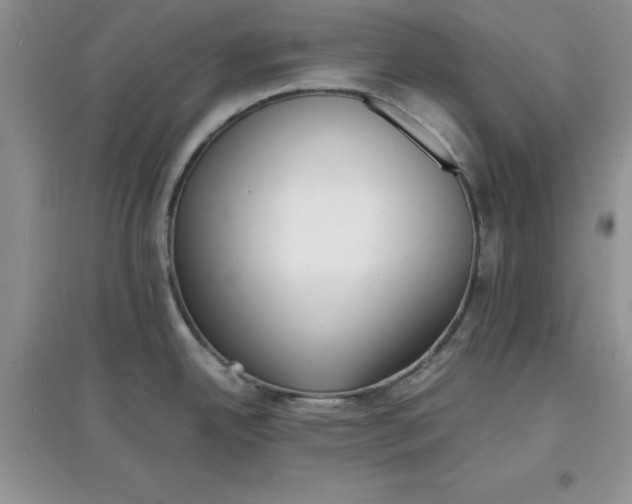 X0000097621342200803141954