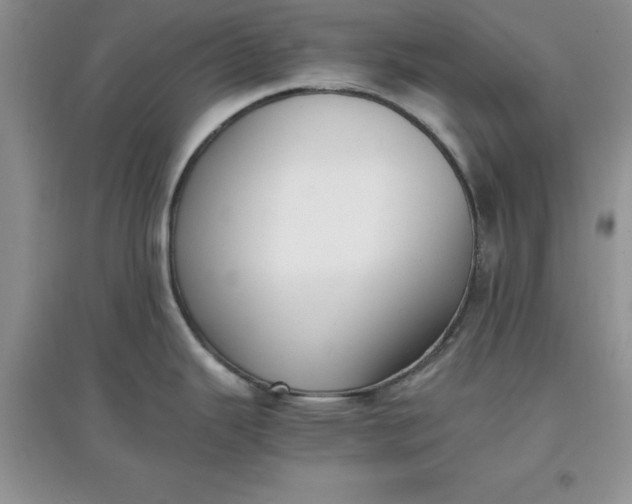 X0000097621343200803141954