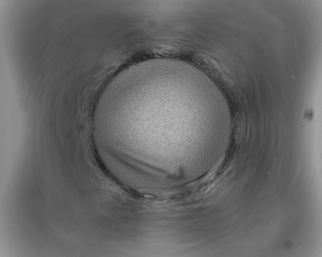 X0000097621345200803141953