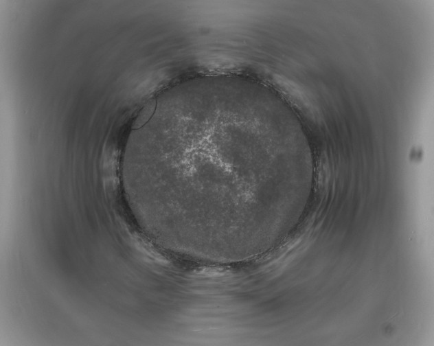 X0000097621346200803141953