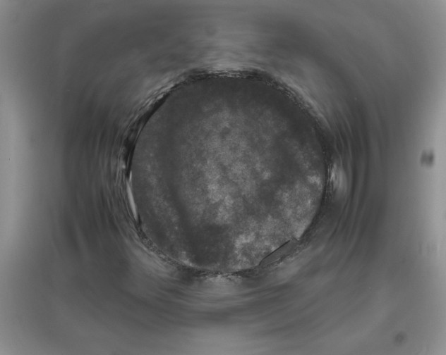 X0000097621348200803141953