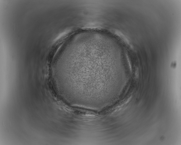 X0000097621350200803141953