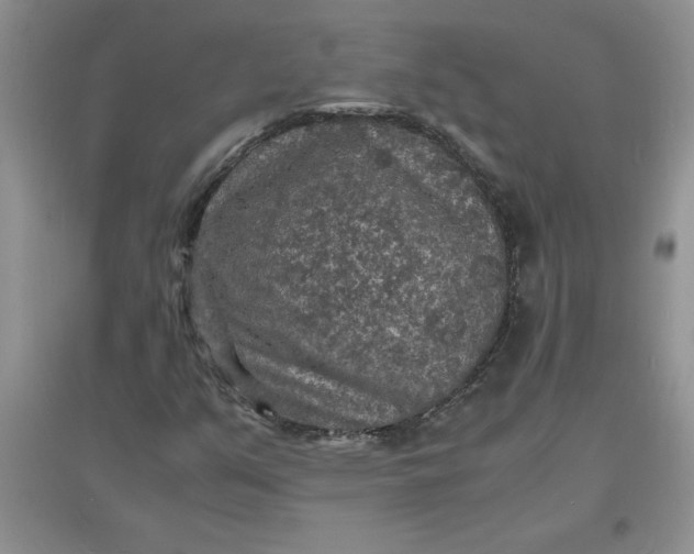 X0000097621351200803141953