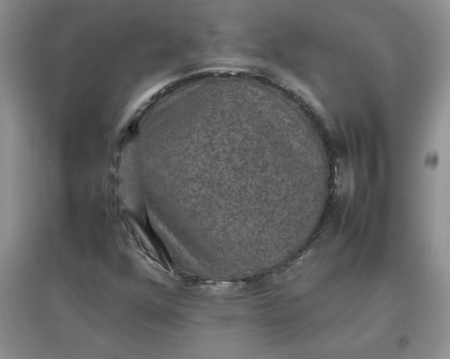 X0000097621352200803141953