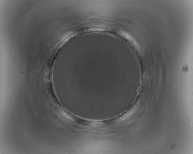 X0000097621353200803141953