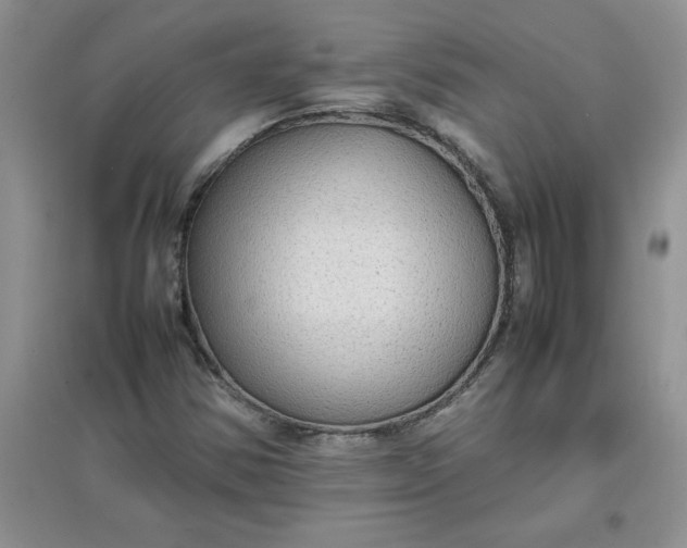 X0000097621354200803141953