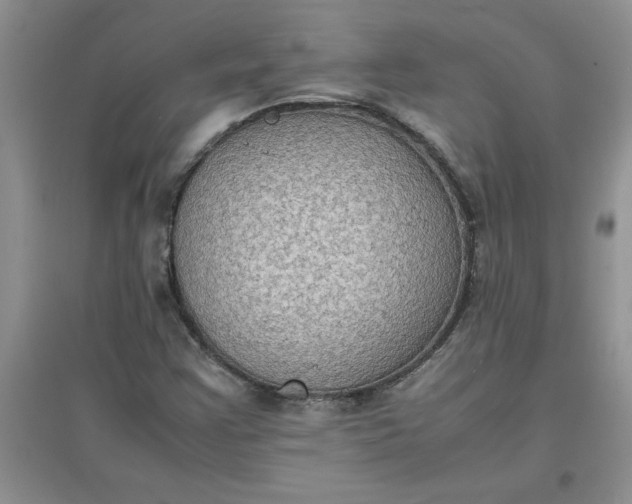 X0000097621355200803141953