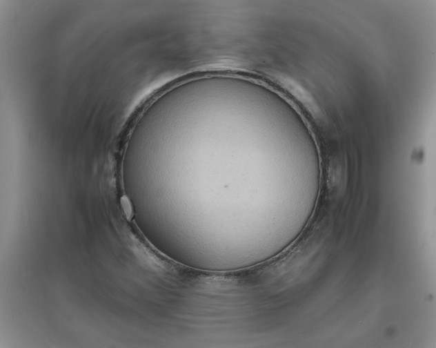 X0000097621356200803141953