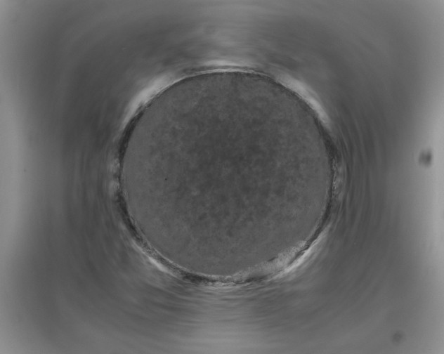X0000097621357200803141953