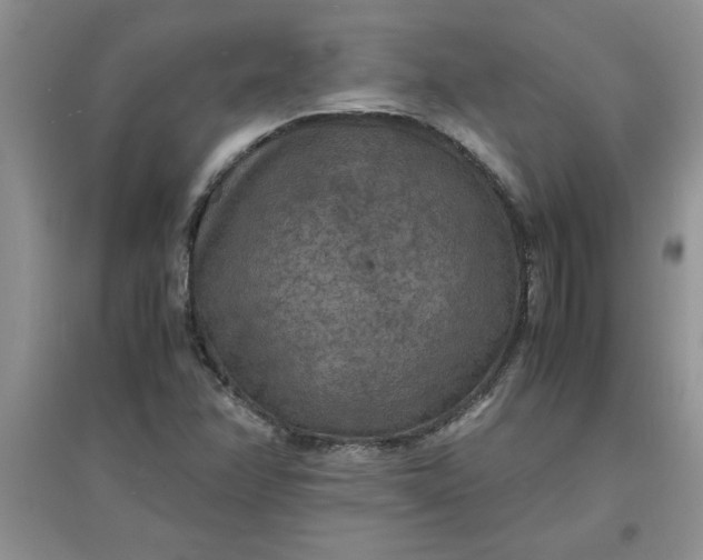X0000097621358200803141953