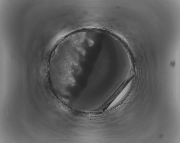 X0000097621359200803141953
