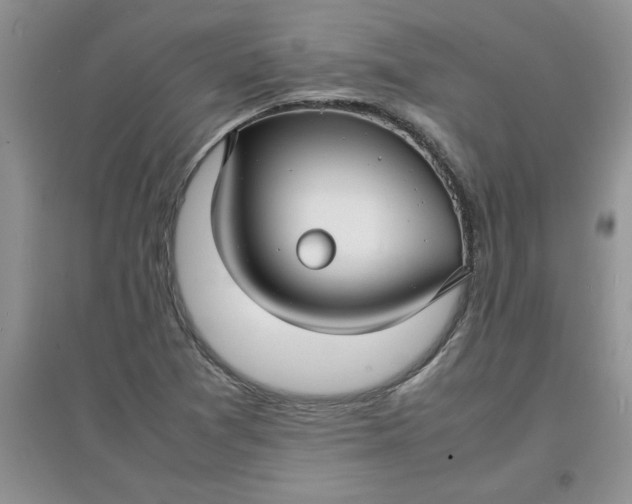 X0000097621361200803141953