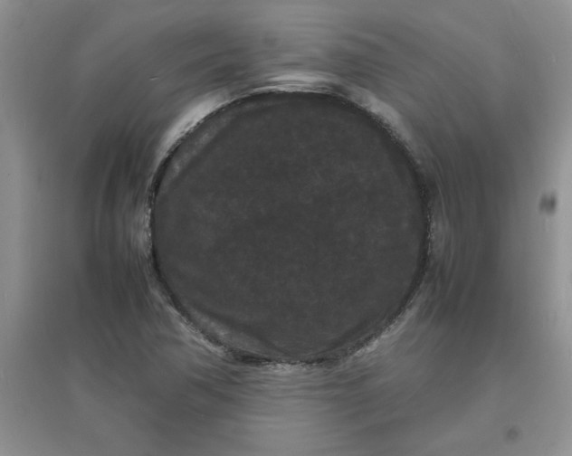 X0000097621362200803141953